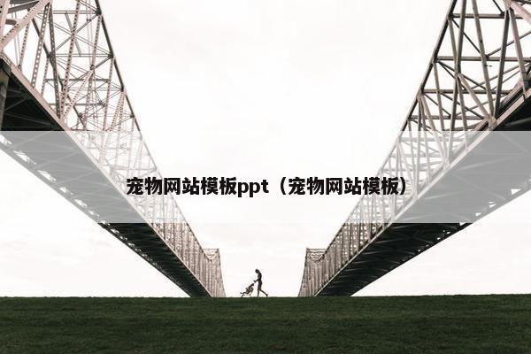 宠物网站模板ppt（宠物网站模板）