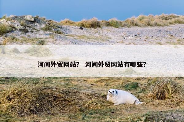 河间外贸网站？ 河间外贸网站有哪些？