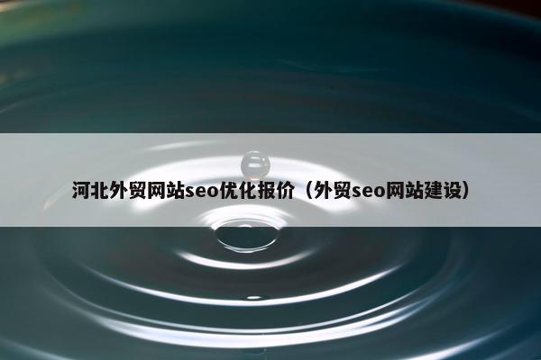 河北外贸网站seo优化报价（外贸seo网站建设）