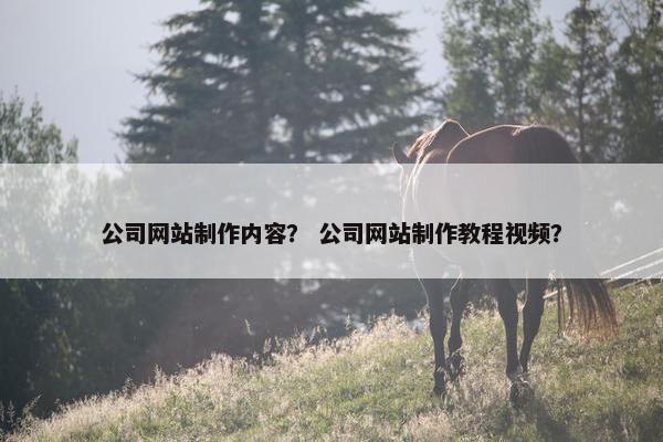 公司网站制作内容？ 公司网站制作教程视频？