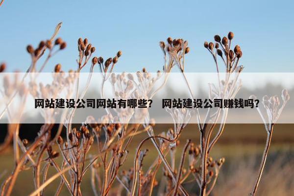 网站建设公司网站有哪些？ 网站建设公司赚钱吗？