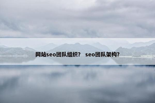 网站seo团队组织? seo团队架构? 网站seo团队组织? seo团队架构?