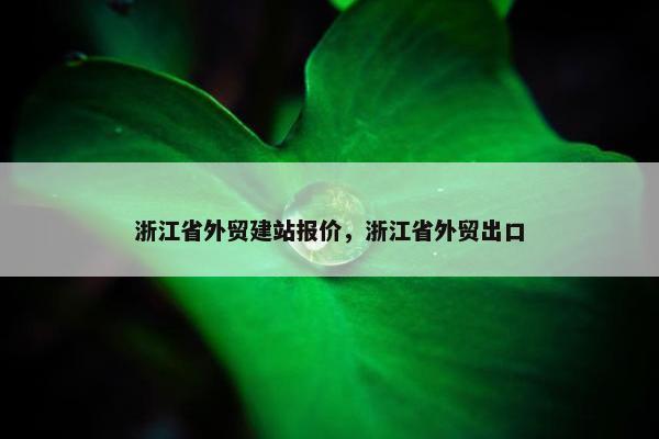 浙江省外贸建站报价，浙江省外贸出口