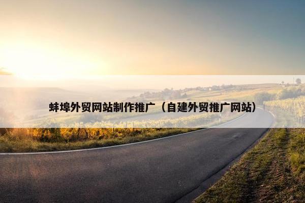 蚌埠外贸网站制作推广（自建外贸推广网站）