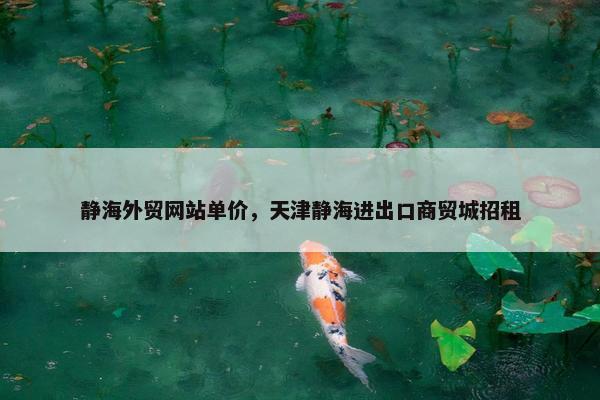 静海外贸网站单价，天津静海进出口商贸城招租