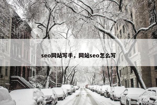 seo网站写手，网站seo怎么写