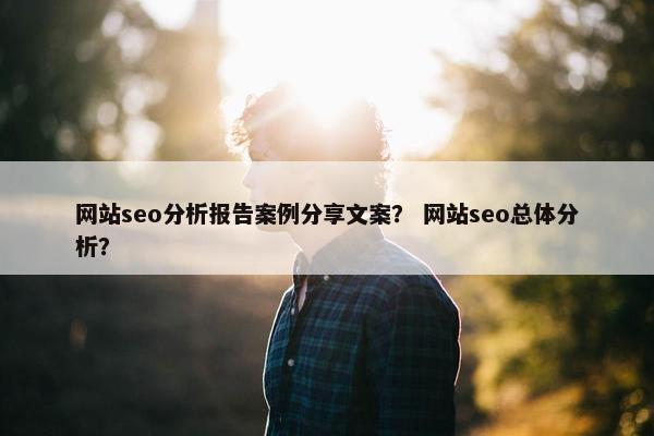 网站seo分析报告案例分享文案？ 网站seo总体分析？