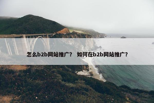 怎么b2b网站推广？ 如何在b2b网站推广？