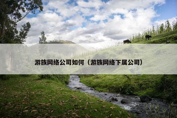 游族网络公司如何（游族网络下属公司）