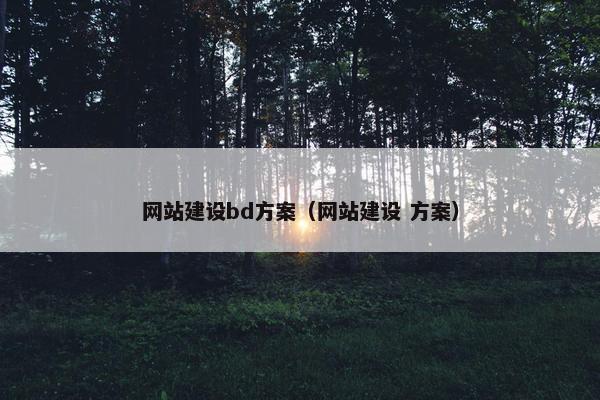 网站建设bd方案（网站建设 方案）