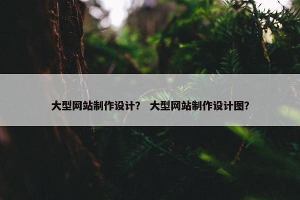 大型网站制作设计？ 大型网站制作设计图？