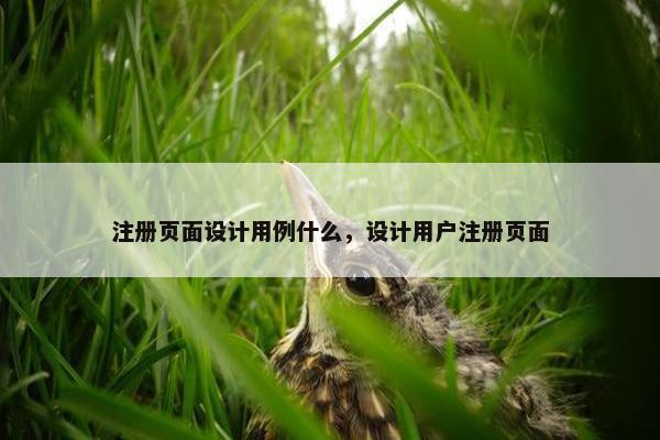 注册页面设计用例什么，设计用户注册页面
