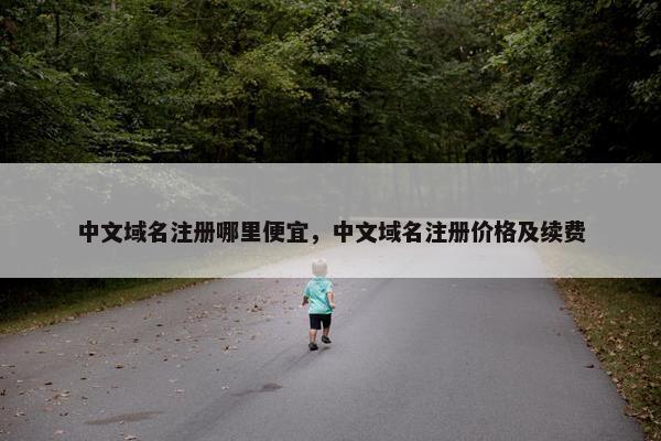 中文域名注册哪里便宜，中文域名注册价格及续费