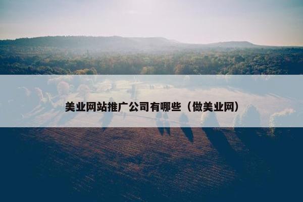 美业网站推广公司有哪些（做美业网）