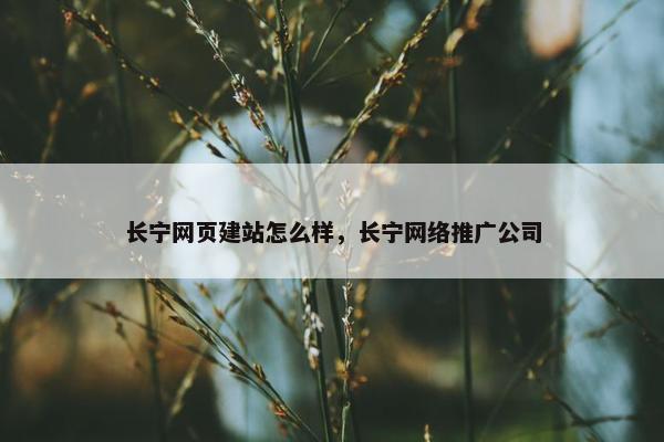 长宁网页建站怎么样，长宁网络推广公司