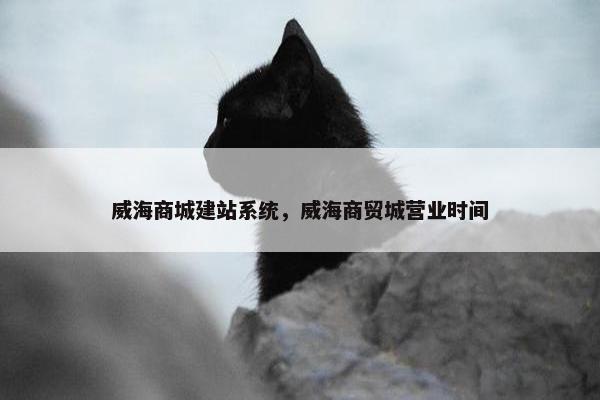 威海商城建站系统，威海商贸城营业时间