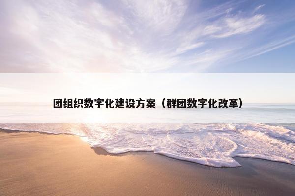 团组织数字化建设方案（群团数字化改革）