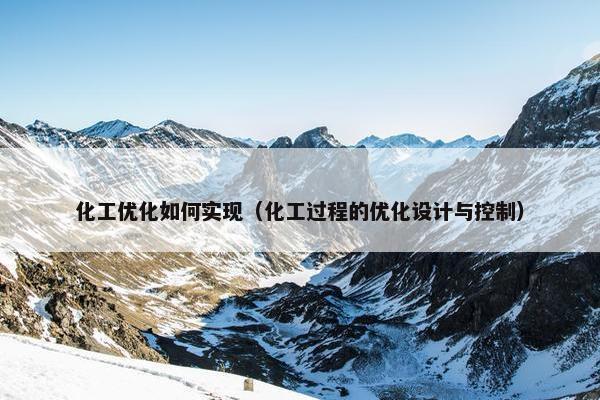 化工优化如何实现（化工过程的优化设计与控制）