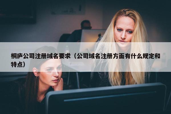 桐庐公司注册域名要求（公司域名注册方面有什么规定和特点）