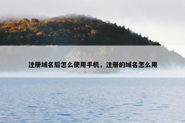 注册域名后怎么使用手机，注册的域名怎么用
