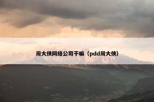 周大侠网络公司干嘛（pdd周大侠）