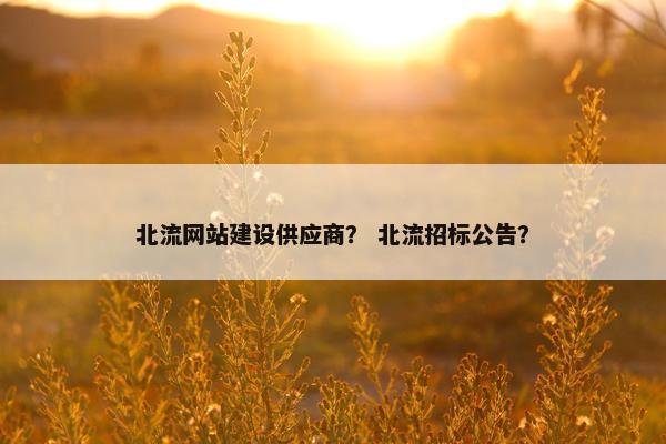 北流网站建设供应商？ 北流招标公告？