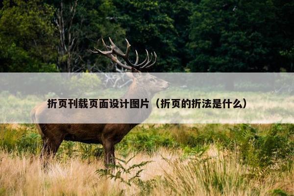 折页刊载页面设计图片（折页的折法是什么）