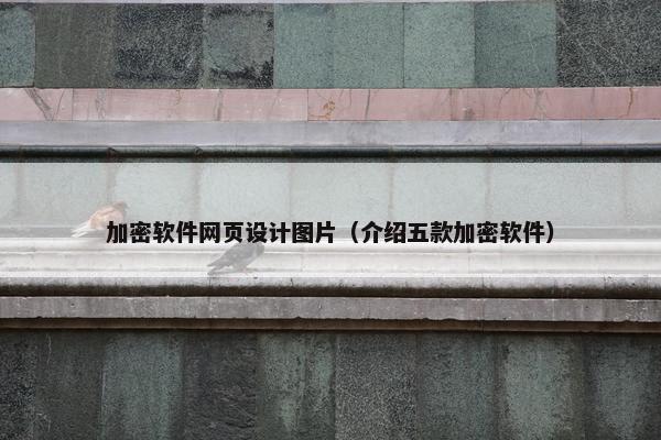 加密软件网页设计图片（介绍五款加密软件）