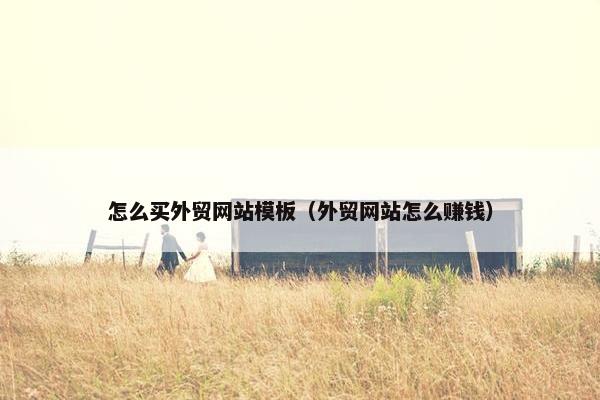 怎么买外贸网站模板（外贸网站怎么赚钱）