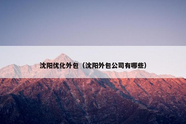 沈阳优化外包（沈阳外包公司有哪些）