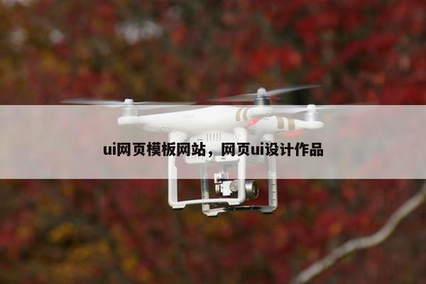 ui网页模板网站，网页ui设计作品