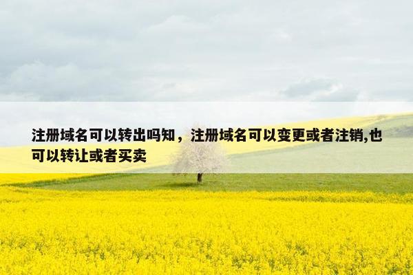 注册域名可以转出吗知，注册域名可以变更或者注销,也可以转让或者买卖