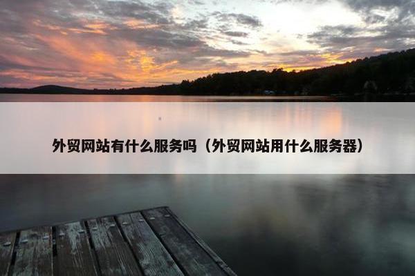 外贸网站有什么服务吗（外贸网站用什么服务器）