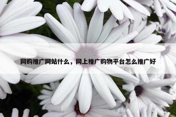 网购推广网站什么，网上推广购物平台怎么推广好
