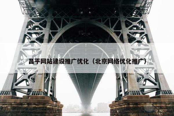 昌平网站建设推广优化（北京网络优化推广）