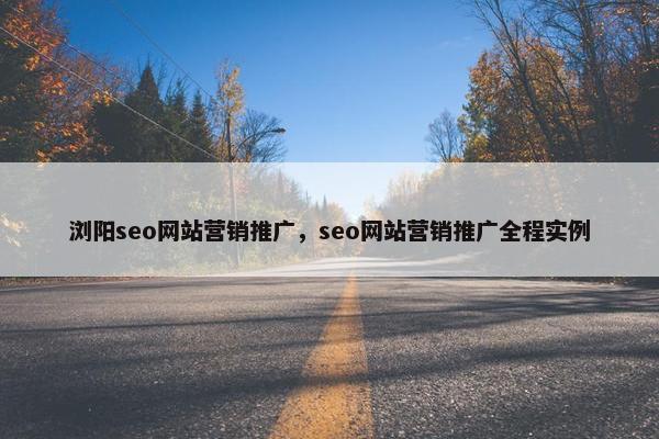 浏阳seo网站营销推广，seo网站营销推广全程实例