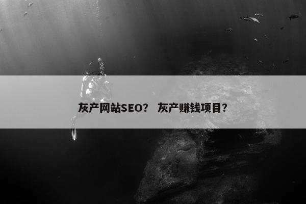 灰产网站SEO？ 灰产赚钱项目？