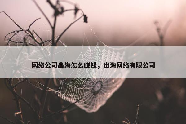 网络公司出海怎么赚钱，出海网络有限公司