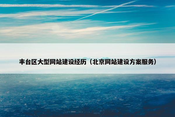 丰台区大型网站建设经历（北京网站建设方案服务）