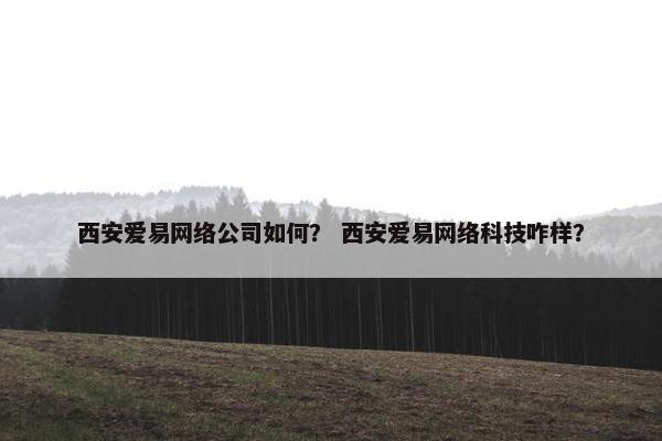 西安爱易网络公司如何？ 西安爱易网络科技咋样？
