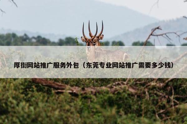 厚街网站推广服务外包（东莞专业网站推广需要多少钱）