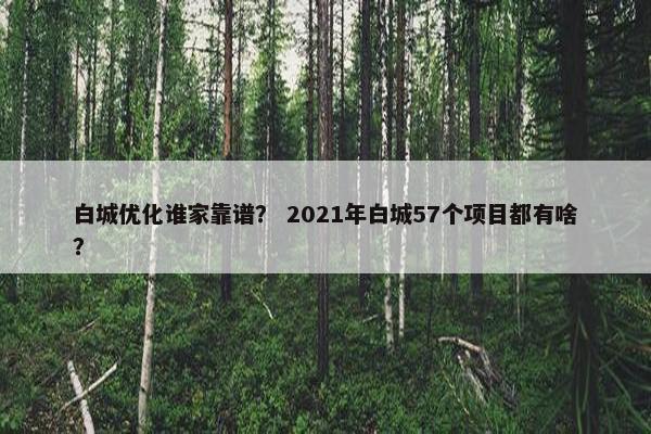 白城优化谁家靠谱？ 2021年白城57个项目都有啥？