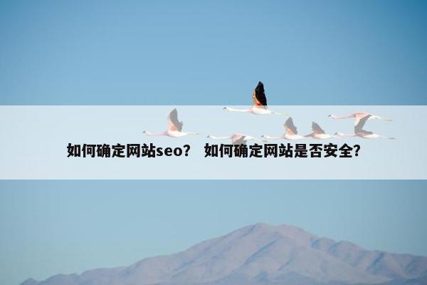 如何确定网站seo？ 如何确定网站是否安全？