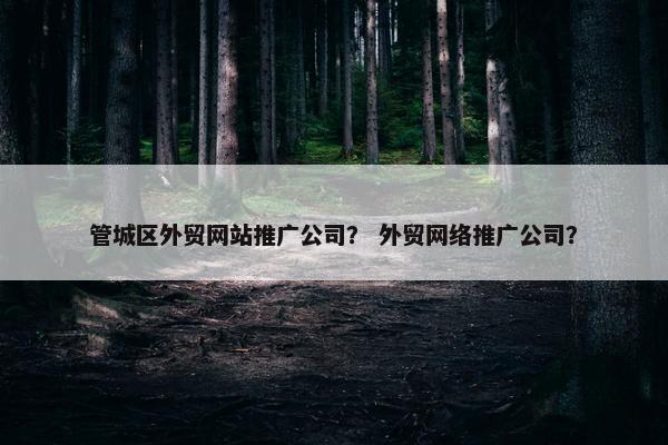 管城区外贸网站推广公司？ 外贸网络推广公司？