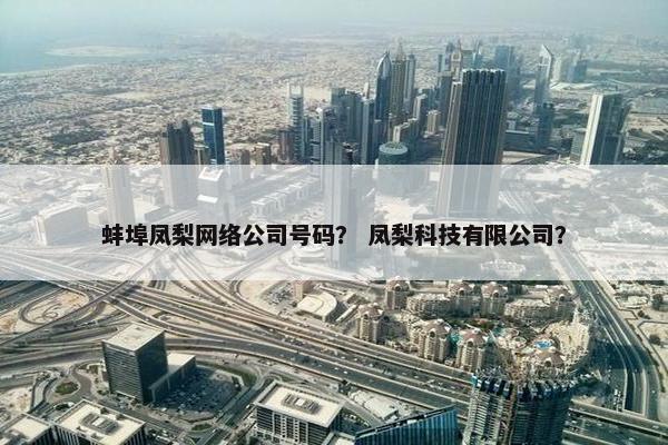 蚌埠凤梨网络公司号码？ 凤梨科技有限公司？