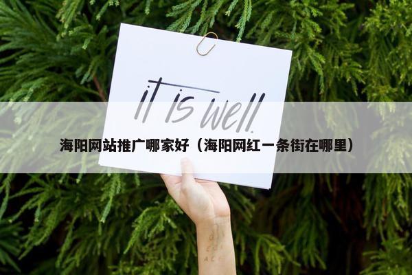 海阳网站推广哪家好（海阳网红一条街在哪里）