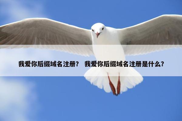 我爱你后缀域名注册？ 我爱你后缀域名注册是什么？