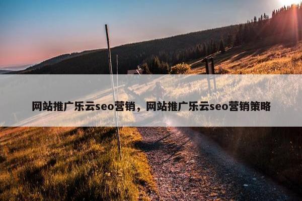 网站推广乐云seo营销，网站推广乐云seo营销策略