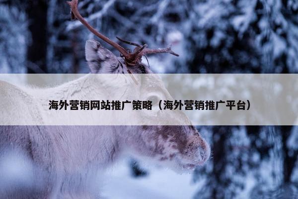 海外营销网站推广策略（海外营销推广平台）