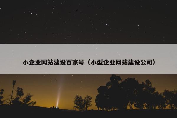 小企业网站建设百家号（小型企业网站建设公司）